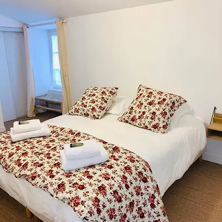 Le Capricorne Plein Centre Wifi Apartment *