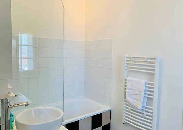 Le Capricorne Plein Centre Wifi Apartment *