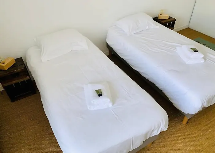 Apartment Le Capricorne Plein Centre Wifi